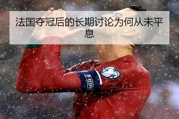 fa-guo-duo-guan-hou-de-chang-qi-tao-lun-wei-he-cong-wei-ping-xi-2-733.jpg