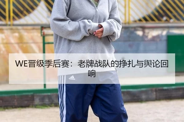 WE晋级季后赛：老牌战队的挣扎与舆论回响
